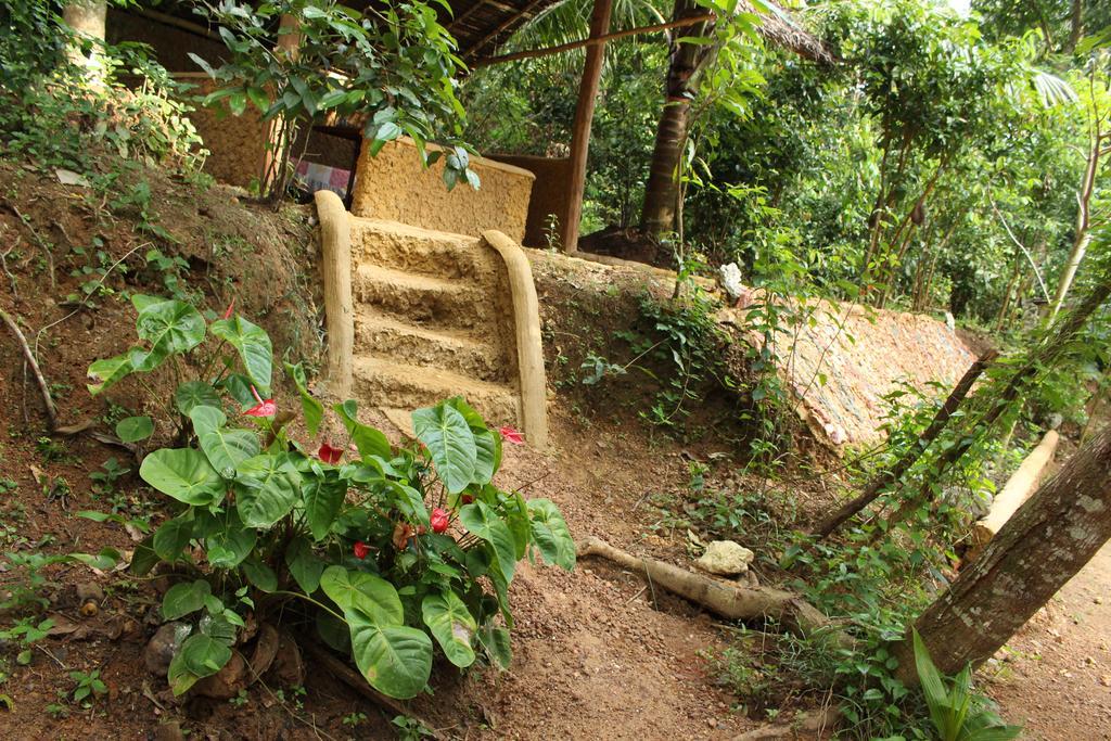 Abberny Villa ミディガマ・イースト 部屋 写真