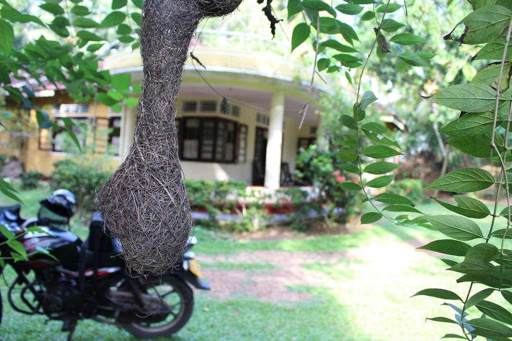 Abberny Villa ミディガマ・イースト 部屋 写真